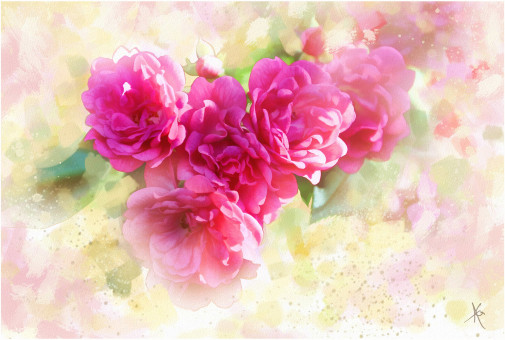 Rosas de color bonito