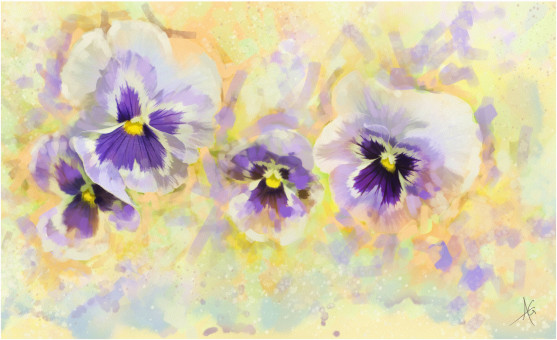 Almost like Pansies