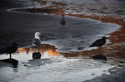 Searching for Jonathan