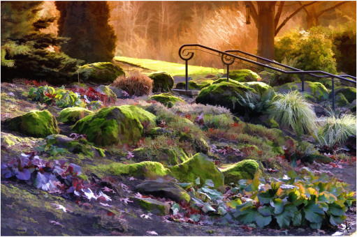 Delightful Afternoon