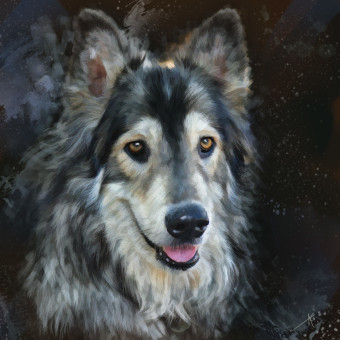 Want to be your Friend