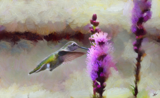 A New Flower for my Friend