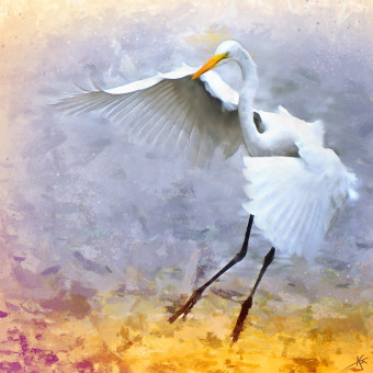 Egret Study