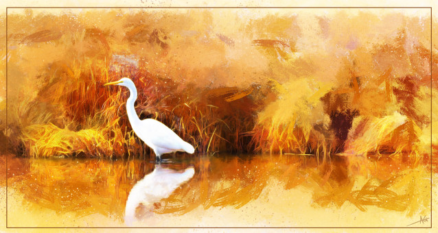 Egret Study by Salishan