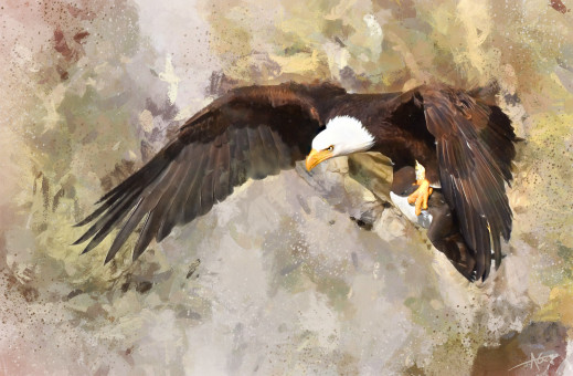 Eagle Hunt Study