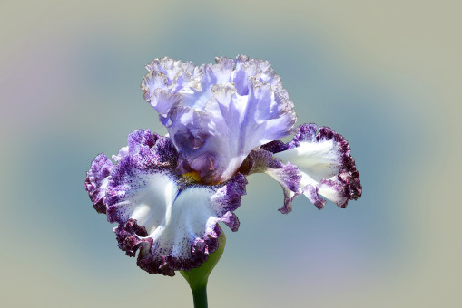 On A Sunday Afternoon