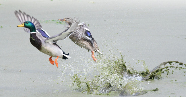 Spectacular Departure