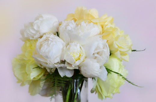 Cheerful Peonies