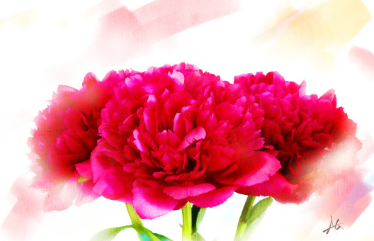 The Joy Of Springtime