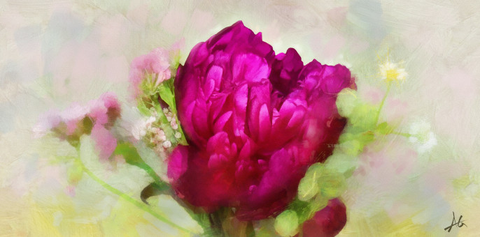 Peony Study