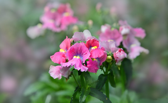 Spring Color Palette