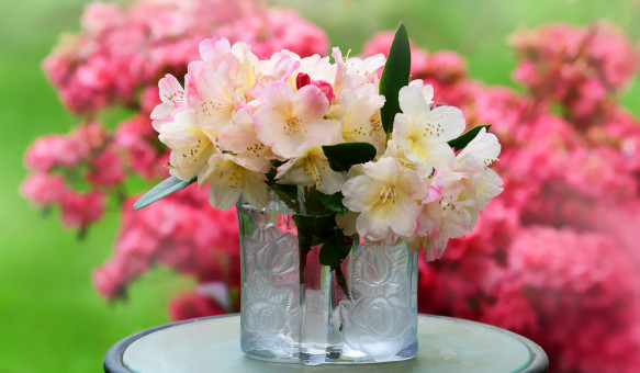 Spring Bouquet