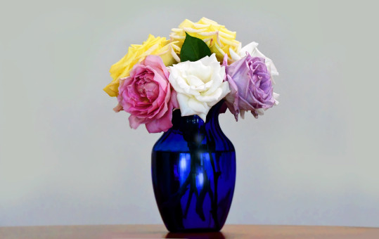 The Blue Vase