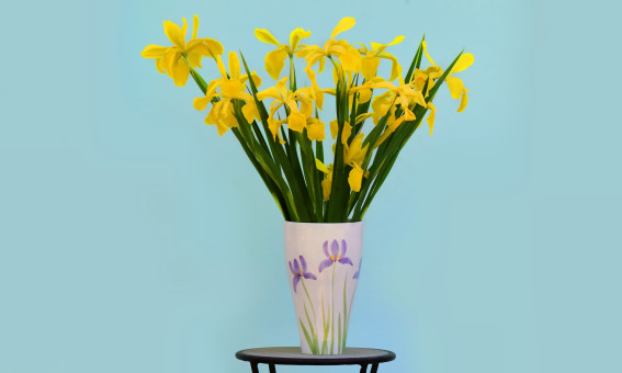Iris Bouquet