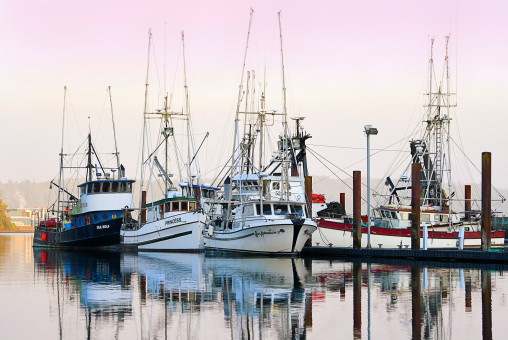 Harbor Reflections