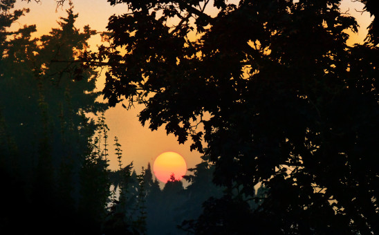 Oregon Wildfires Sunset