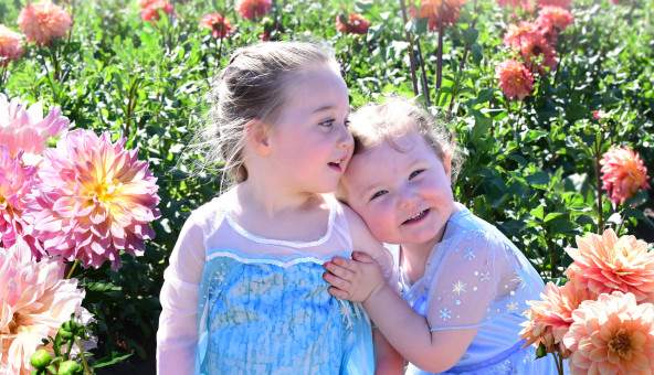 Precious Friendship