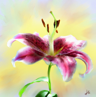 Flower Study