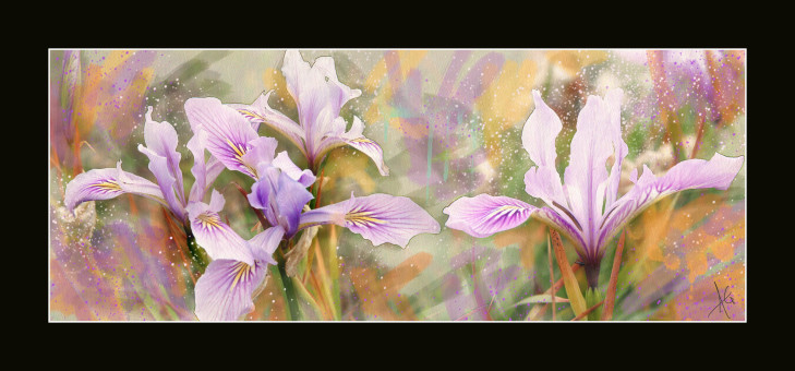 danseaurs de rivage de mer framed