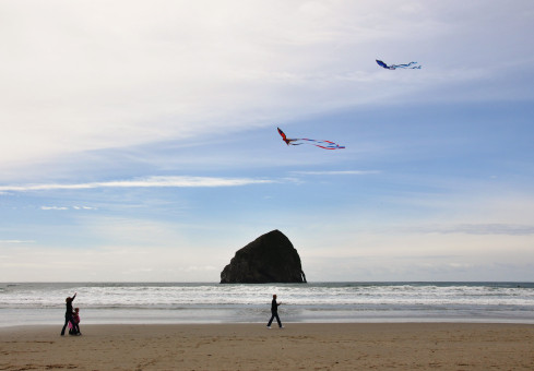 the kite