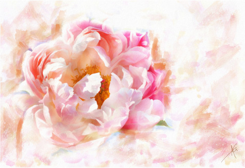 Una flor que encanta